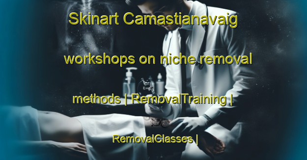 Skinart Camastianavaig workshops on niche removal methods | RemovalTraining | RemovalClasses | SkinartTraining-United Kingdom